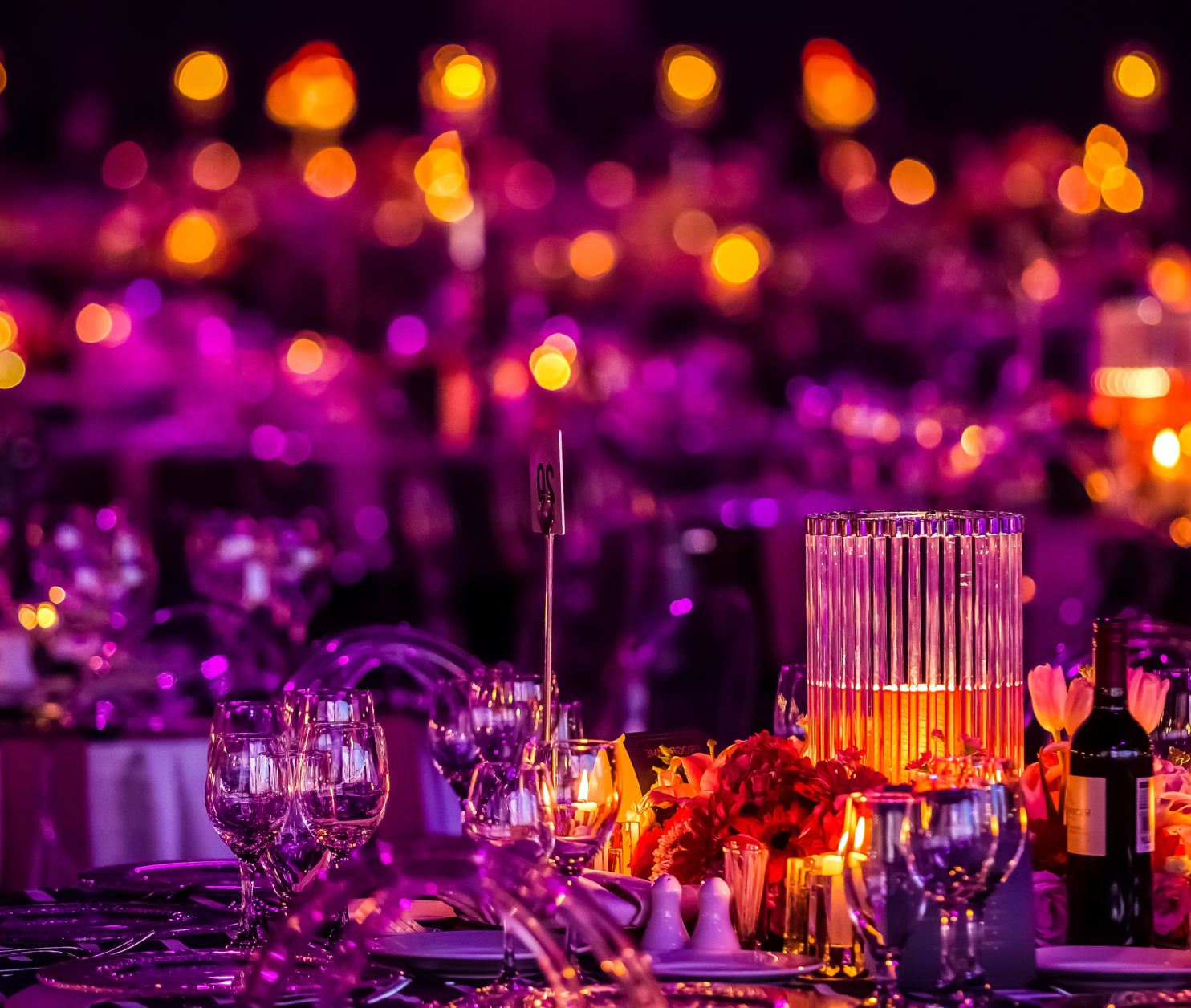 Celebration Night at Cranmore Park