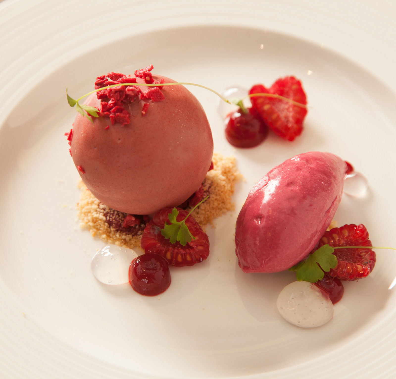 Two scoops of vibrant pink sorbet are elegantly plated with fresh raspberries, edible flowers, and dollops of cream. Crushed cookie crumbs add texture to the presentation.