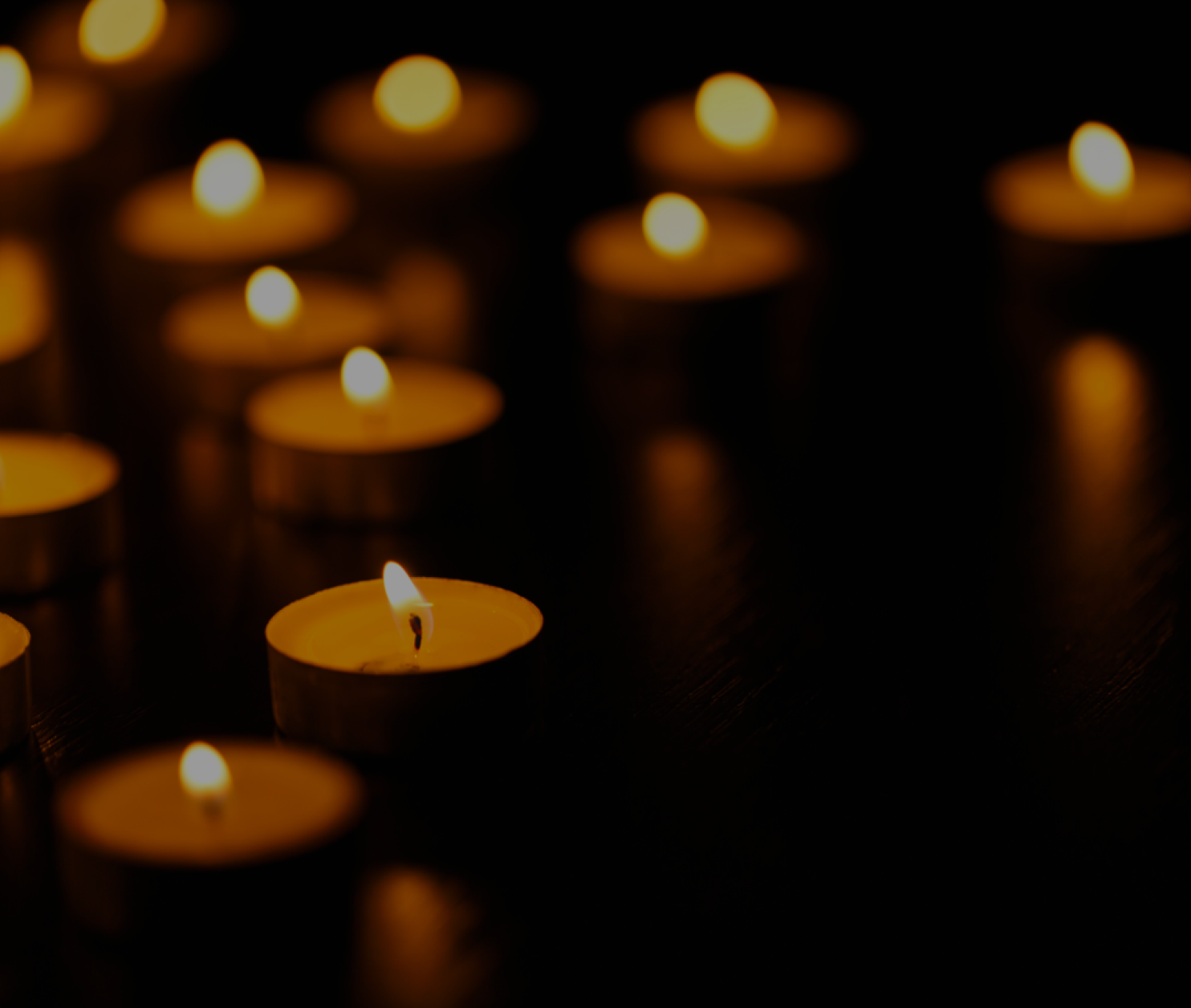 Celebrate life at Cranmore Park