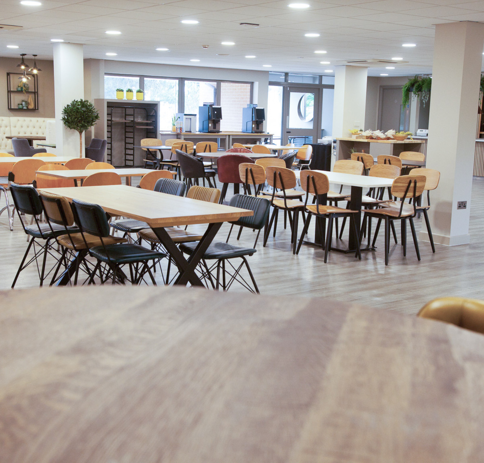 A spacious dining area featuring multiple wooden tables and chairs in various styles. The room is well-lit, with large windows and plants adding greenery. A buffet area is visible in the background, and modern decor enhances the ambiance.