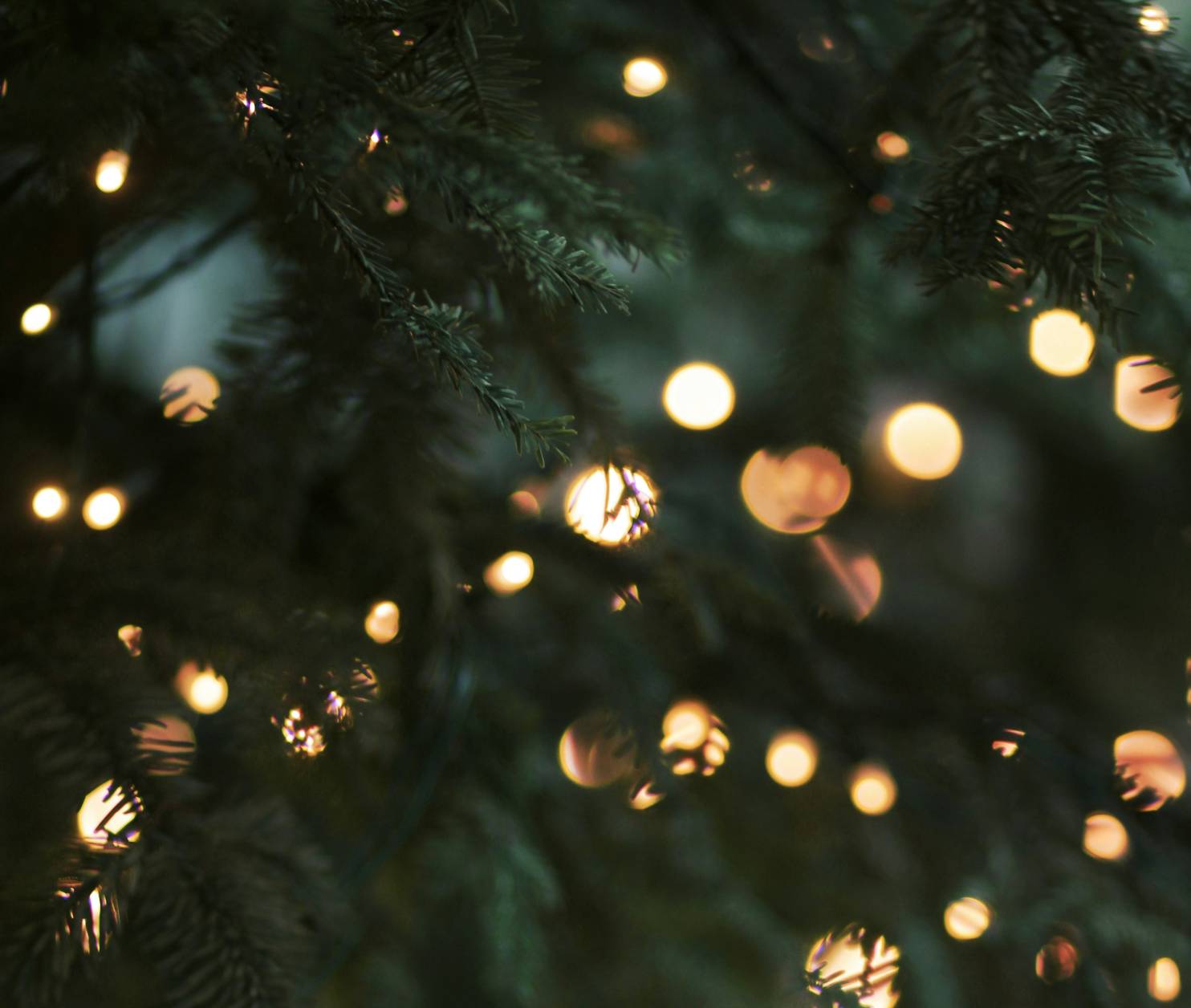 Softly glowing lights are intertwined with the branches of a pine tree, creating a warm and inviting atmosphere. The background features a bokeh effect, with lights appearing as soft orbs of gold and white.