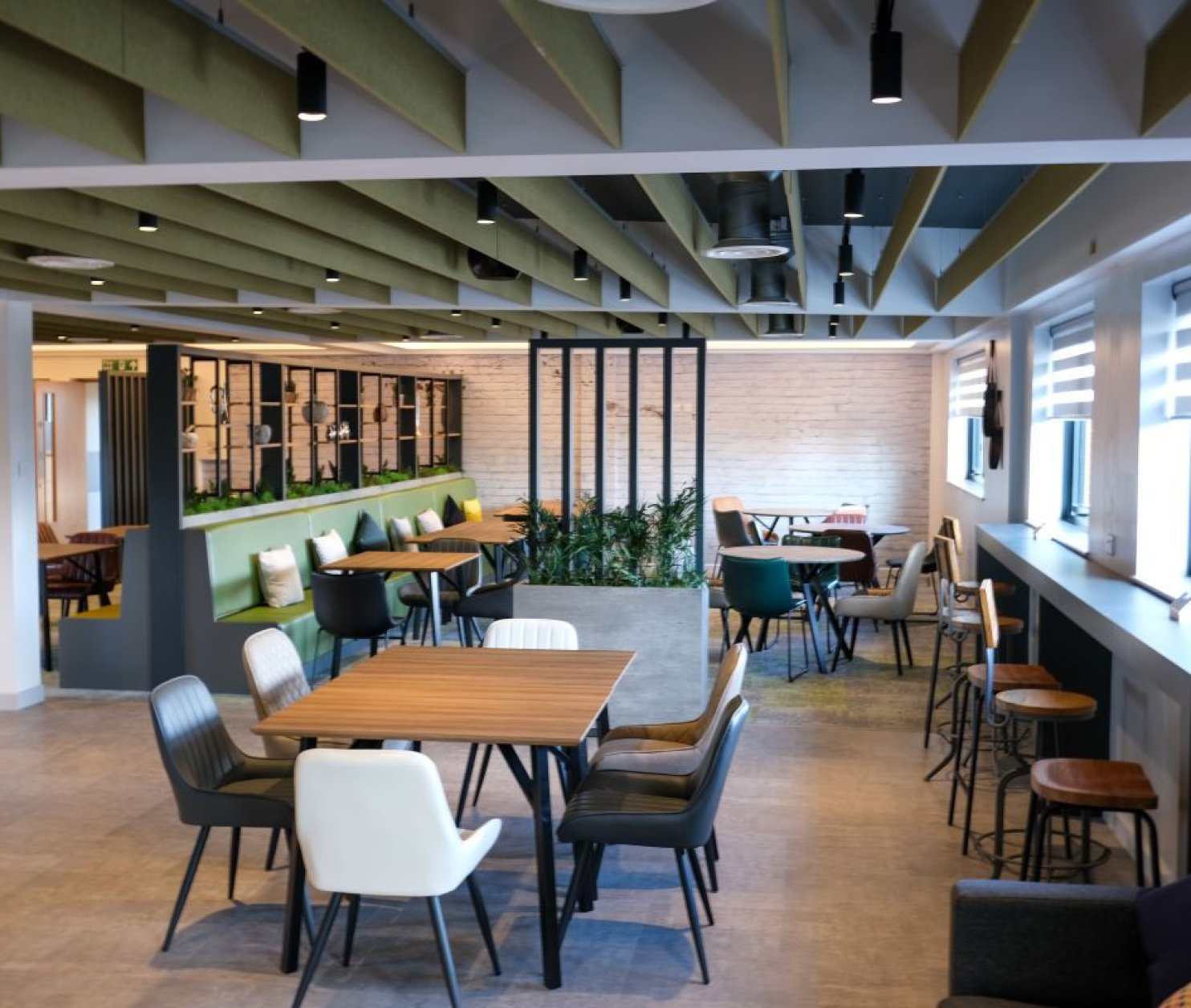 A modern café interior featuring a variety of wooden tables and chairs, with a mix of colors and styles. Green ceiling panels and plants add a touch of nature, and large windows allow natural light to fill the space.