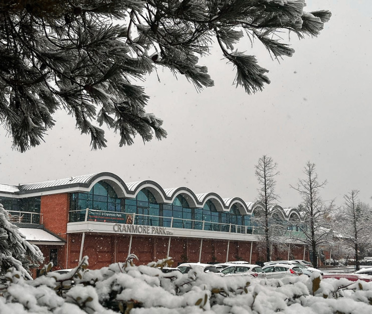Cranmore Park building surrounded by snow-covered ground and trees. Large windows reflect the winter scene as snowflakes fall gently.