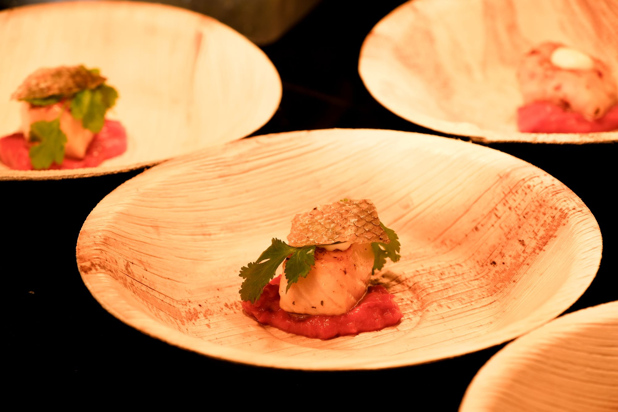 salmon prepared at cranmore park